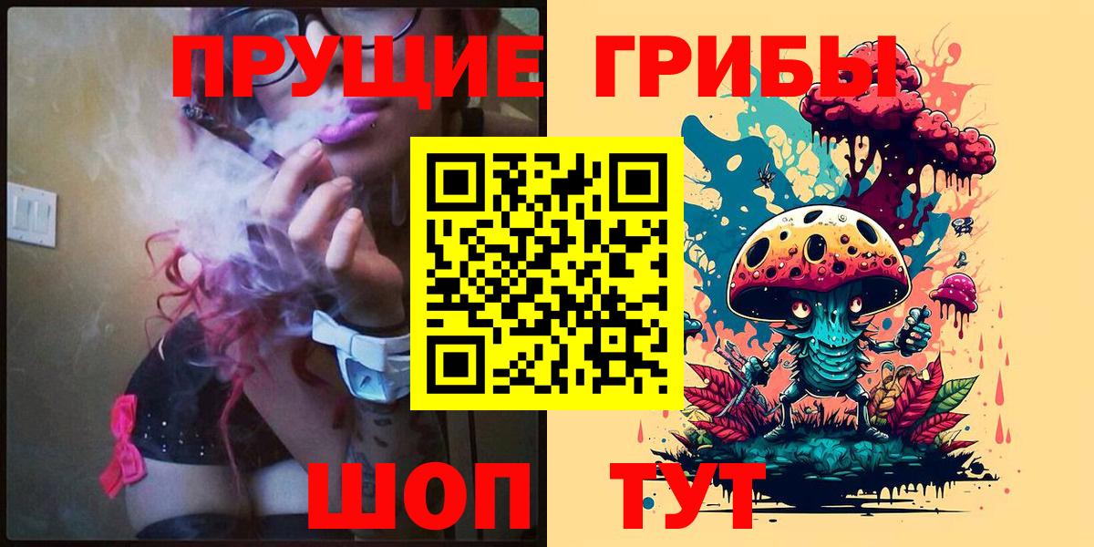 Галлюциногенные грибы Psilocybe Курск