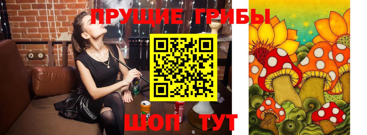 Галлюциногенные грибы прущие грибы  где найти наркотики  Курск  Псилоцибиновые грибы GOLDEN TEACHER  Вход с VPN 
